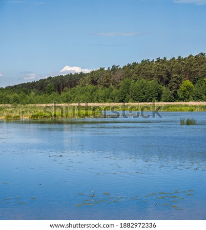 Image, Stock Photo Lake with wooden footbridges