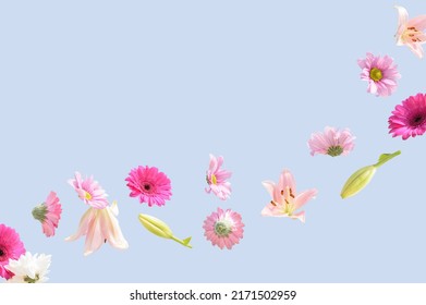 4960 Free CC0 Flower background Stock Photos 