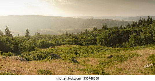 Summer Dawn In Cypress Hill Provincial Park, SK, Canada