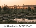 Summer dawn in the forest-tundra. Kola Peninsula, Russia