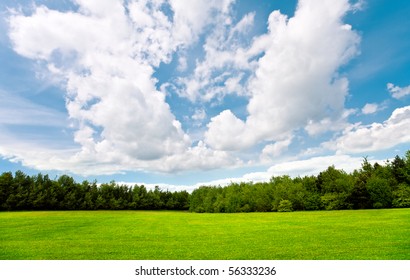 Summer Day With Blue Sky,trees And Grass