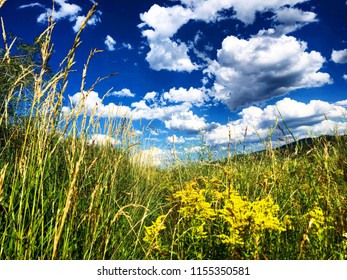 Summer Day In Carbondale, CO