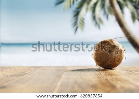 summer day and coconuts 