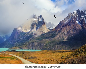 Summer day in the national park Torres del Paine, Patagonia, Chile. Cliffs of Los Kuernos among the clouds. Andean condors fly over the lake Pehoe