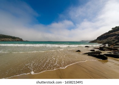 A Summer Day At Sand Beach In Acadia National Park