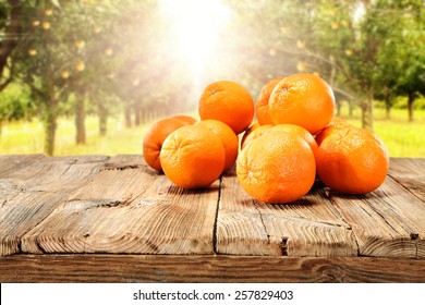summer day and sun with orange fruits 