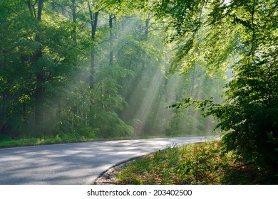 Summer Driving - Country Road After Rain