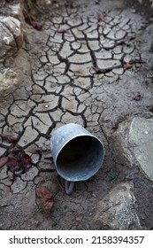 Summer Drought In A Water Stream Pond Of Usually Drinkable Water In Slovenia Pre Alps Europe