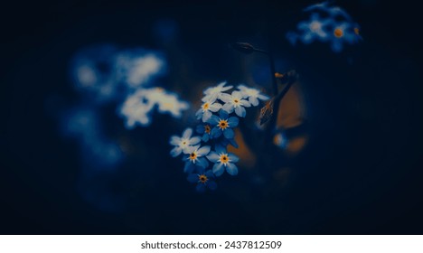 In the summer evening, beautiful delicate blue forget-me-not flowers bloom. Their beauty is a reminder of the natural world and its wildflowers. - Powered by Shutterstock