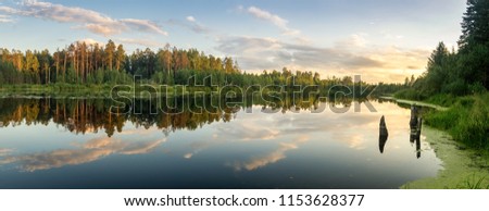 summer evening landscape on Ural lake with pine trees on the shore, Russia, August
