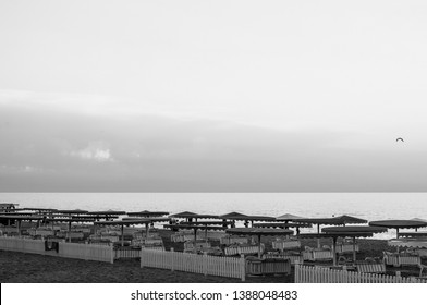 Summer evening on beach with striped white wood fence and stacked deck chairs under beach umbrellas on sand. Black sea landscape in dusk with flying seagull. Tranquility concept. Black and white photo - Powered by Shutterstock