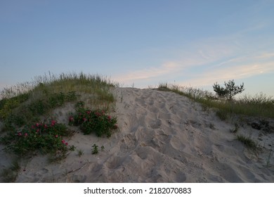 A Summer Evening Walk On The Sandy Dunes By The Baltic Sea