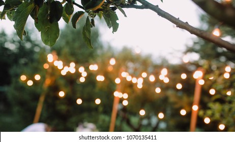 Summer Evening Wedding Ceremony