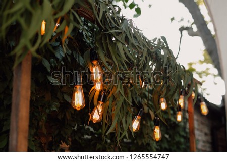 Summer evening wedding ceremony with light bulbs
