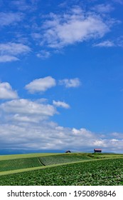 Summer And Farm Scenery In Biei, Hokkaido, Japan
