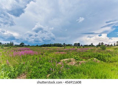 Summer Field Under Overcast Sky With Clouds