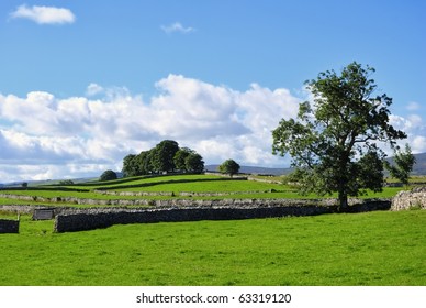 Summer Fields & Drystone Walls Near Shap, Cumbria, England