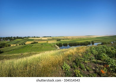 Summer fields in a rural landscape