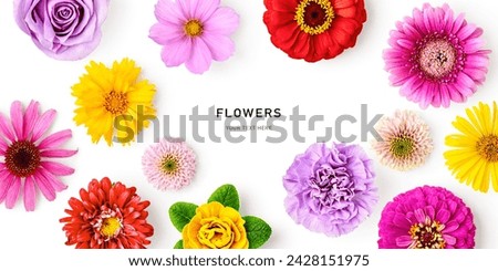 Summer flower creative layout. Daisy, cosmos, blanket, aster, zinnia, tickseed, rose and carnation flowers isolated on white background. Floral frame border. Design element. Top view, flat lay 