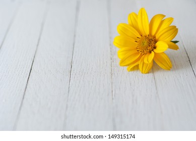 summer flower on wooden table background