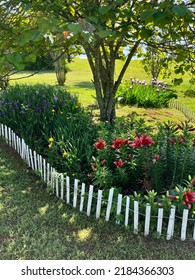 Summer Flowers In East Tennessee 