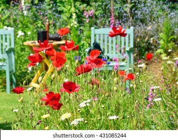Summer Flowers In An English Cottage Garden,
