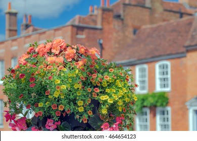 Summer Flowers In Farnham, Surrey