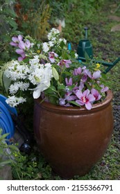 Summer Flowers In Japanese Earthenware Jar
