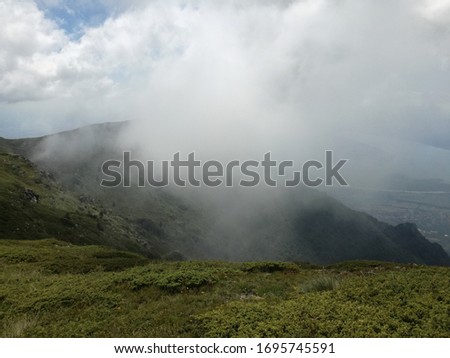 A summer fog in mountain Rhodopi, Bulgaria