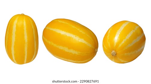 Summer Fruit and Vegetables Three Korean Yellow Melons Isolated on a White Background