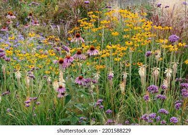 A summer garden border planted in Prairie style