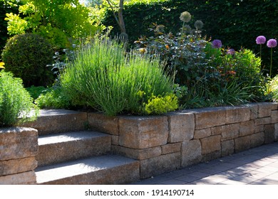 Summer Garden With Flowering Shrubs And Flowers