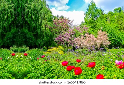 Summer Garden On Green Nature Scene