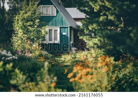 A summer garden for vegetables, fruits, and berries, overgrown with flowers and plants, with a selective focus on a teal wooden dacha cottage surrounded by a forest area with pines and other trees