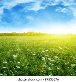 Summer Grass Field And Sunlight In Blue Sky.