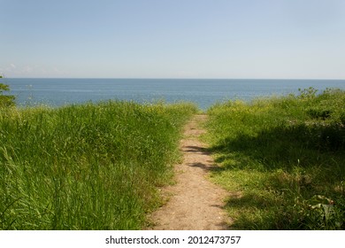 Summer Green Grass Lawn With Road Going To Beach And Sea Water Horizon 