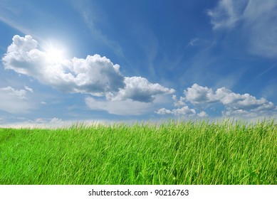  Summer green grass on blue sky