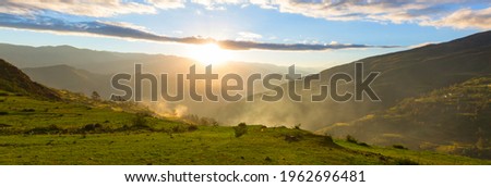 Similar – Image, Stock Photo summertime Nature Plant