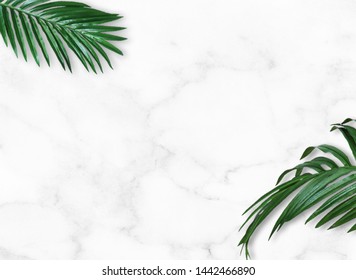 summer green Marble palm decoration - Shutterstock ID 1442466890