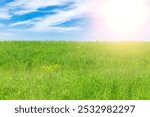 Summer green meadow with tall grass under a blue sky with white cirrus clouds.