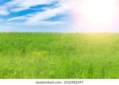 Summer green meadow with tall grass under a blue sky with white cirrus clouds. - Powered by Shutterstock