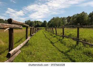 Summer Green Rural Farm Fence Landscape. Wooden Farm Fence Summer Scene. Country Farm Fence Summer Evening Panorama