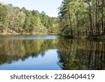 The summer green trees and the lake at San-Lee Park in Sanford North Carolina