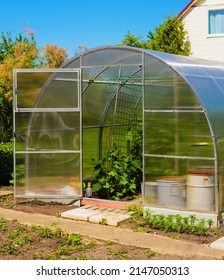 summer greenhouse of transparent polycarbonate. Open door and green vegetables