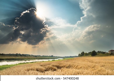Summer harvest and landscape