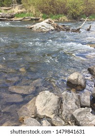 Summer Hike Along Provo River