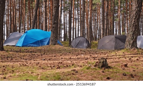 Summer Hiking Camp Tents Pitched Up Among Coniferous Forest Trees  - Powered by Shutterstock