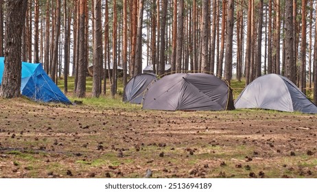 Summer Hiking Camp Tents Pitched Up Among Coniferous Forest Trees  - Powered by Shutterstock