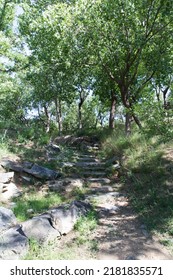 Summer Hill And Forest Of The Old Summer Palace (yuanmingyuan)