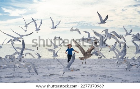 Summer holiday. Child run on the seagulls on the beach, summer time. Cute little boy chasing birds near sea on summer day.